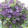 All_pictures_006.jpg