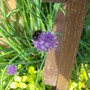 All_pictures_002.jpg