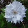 Dscf8081
