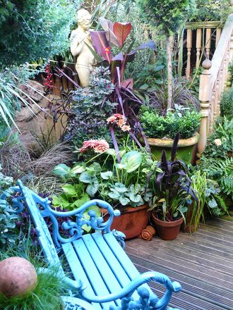 The garden seat near the wildlife pond.