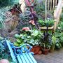 The garden seat near the wildlife pond.
