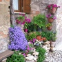 Little garden in May