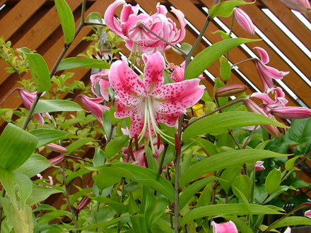 Imported_Photos_00080.jpg