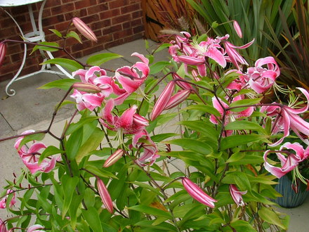 Imported_Photos_00079.jpg