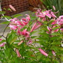 Imported_Photos_00079.jpg