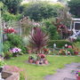 the left side of my garden
