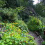 Ruskin's garden