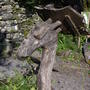 Ruskin's Dragon  