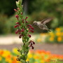20080626_131b