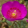 20080626_139b