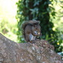 20080626_164b