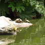 20080626_115b