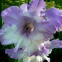 P1020528