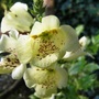 29_june_021