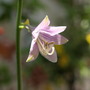 20080629_53b