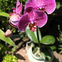 20080629_33b