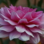 20080625_17