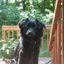 Matilda at attention