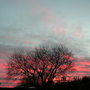 Pict0350