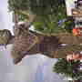 willow statue