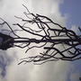 trees made of exhaust pipes. at night they had smoke and fire comming out!!!