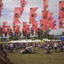 field of flags