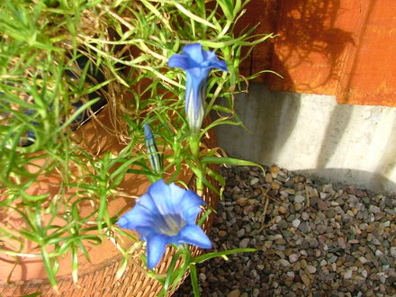 Imported_Photos_00083.jpg