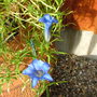 Imported_Photos_00083.jpg