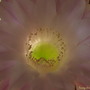 20080701_43b