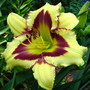 6-27-08_061