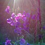 July_153