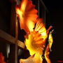 Copy_of_20080626_368b