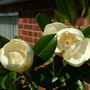Imported_Photos_00089.jpg