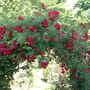 July_3rd_2008_009