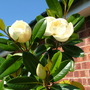 Imported_Photos_00091.jpg