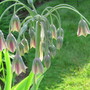 Img_4721
