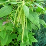P1020580
