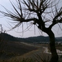 Cimg3628