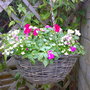 Basket
