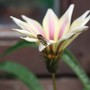 July_08_013__desktop_resolution_
