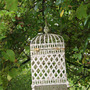 Lantern_amongst_vine