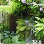 Adding structure to an area that is shady.