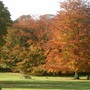 Another autumn photo!