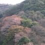 View from Osaka's chopped down mountain
