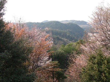 Osaka hills, Japan