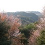 Osaka hills, Japan