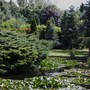 Open Gardens 