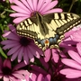 Spanish_pics_087
