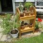 Cactus_stand_1