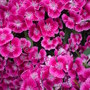 Dsc00320